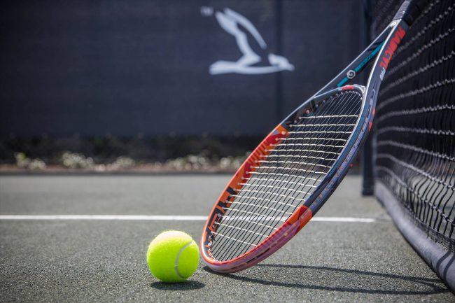 Image 30 Har-Tru Clay Tennis Courts